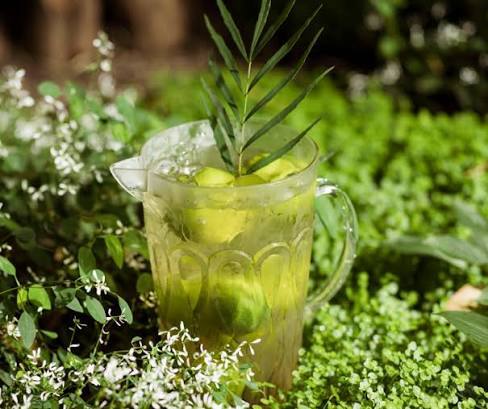 Green Tea Extract