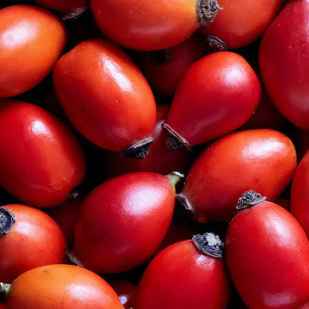 Rosehip Oil
